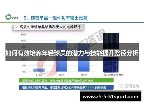 如何有效培养年轻球员的潜力与技能提升路径分析