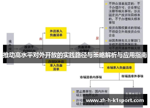 推动高水平对外开放的实践路径与策略解析与应用指南 推动高水平对外开放的实践路径与策略解析与应用指南