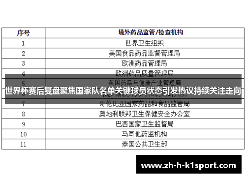 世界杯赛后复盘聚焦国家队名单关键球员状态引发热议持续关注走向 世界杯赛后复盘聚焦国家队名单关键球员状态引发热议持续关注走向