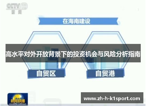 高水平对外开放背景下的投资机会与风险分析指南