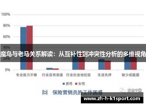 魔鸟与老马关系解读：从互补性到冲突性分析的多维视角